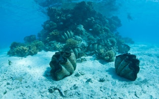 Marine park in Cook Islands