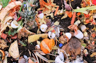 Food waste and loss