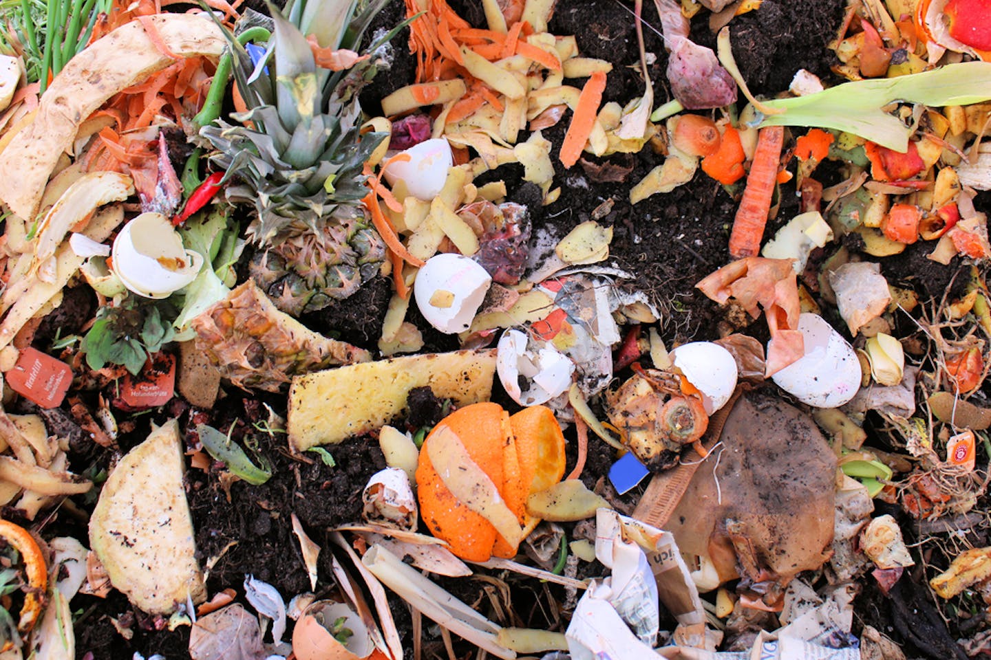 Food waste and loss