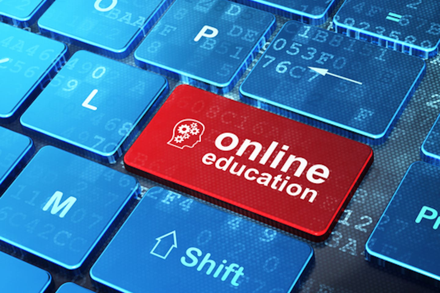 Sustainable development online education