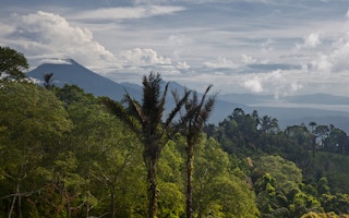 Indonesia rainsforest carbon scheme