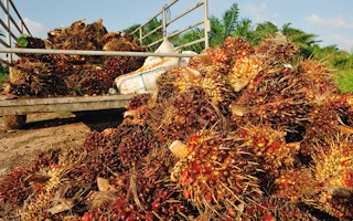 palm oil sales