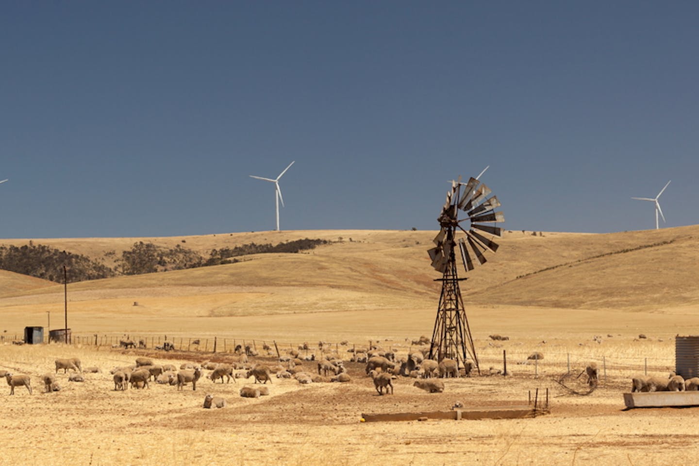 australia wind