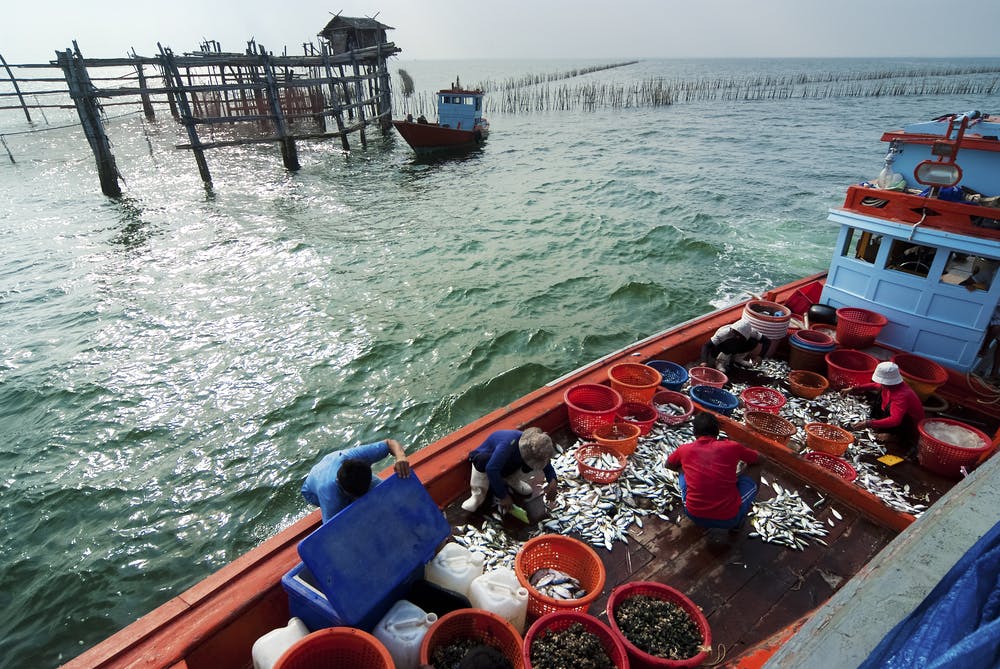 thai seafood fisherfolks