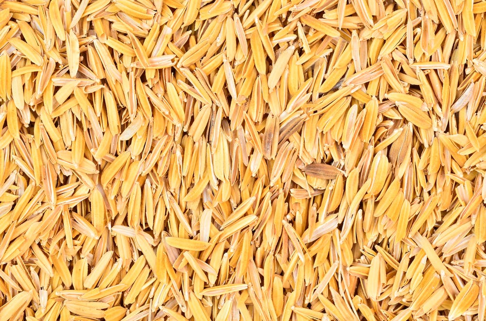 rice husk