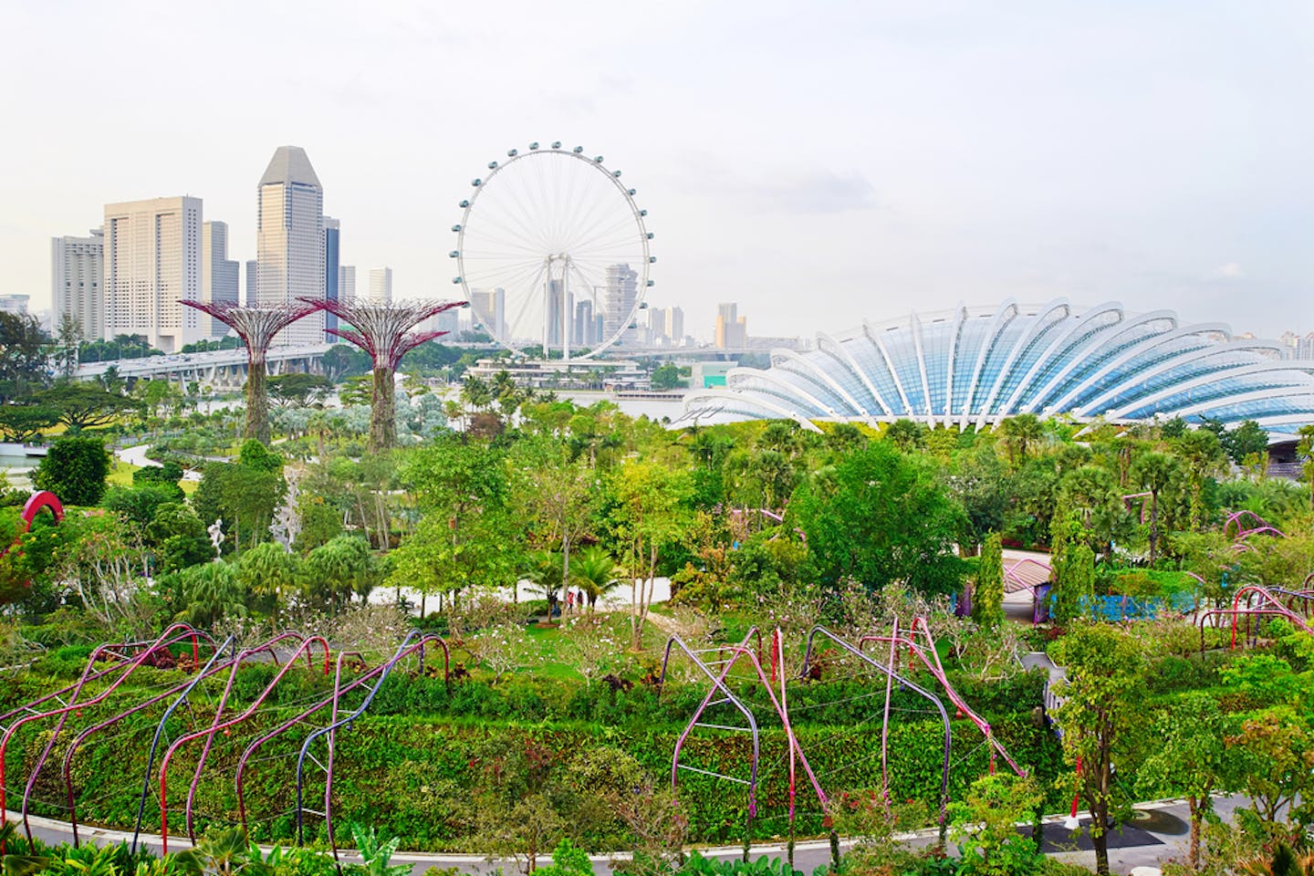 Singapore's CBD and Gardens by the Bay