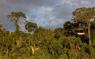 Peru's zero deforestation drive
