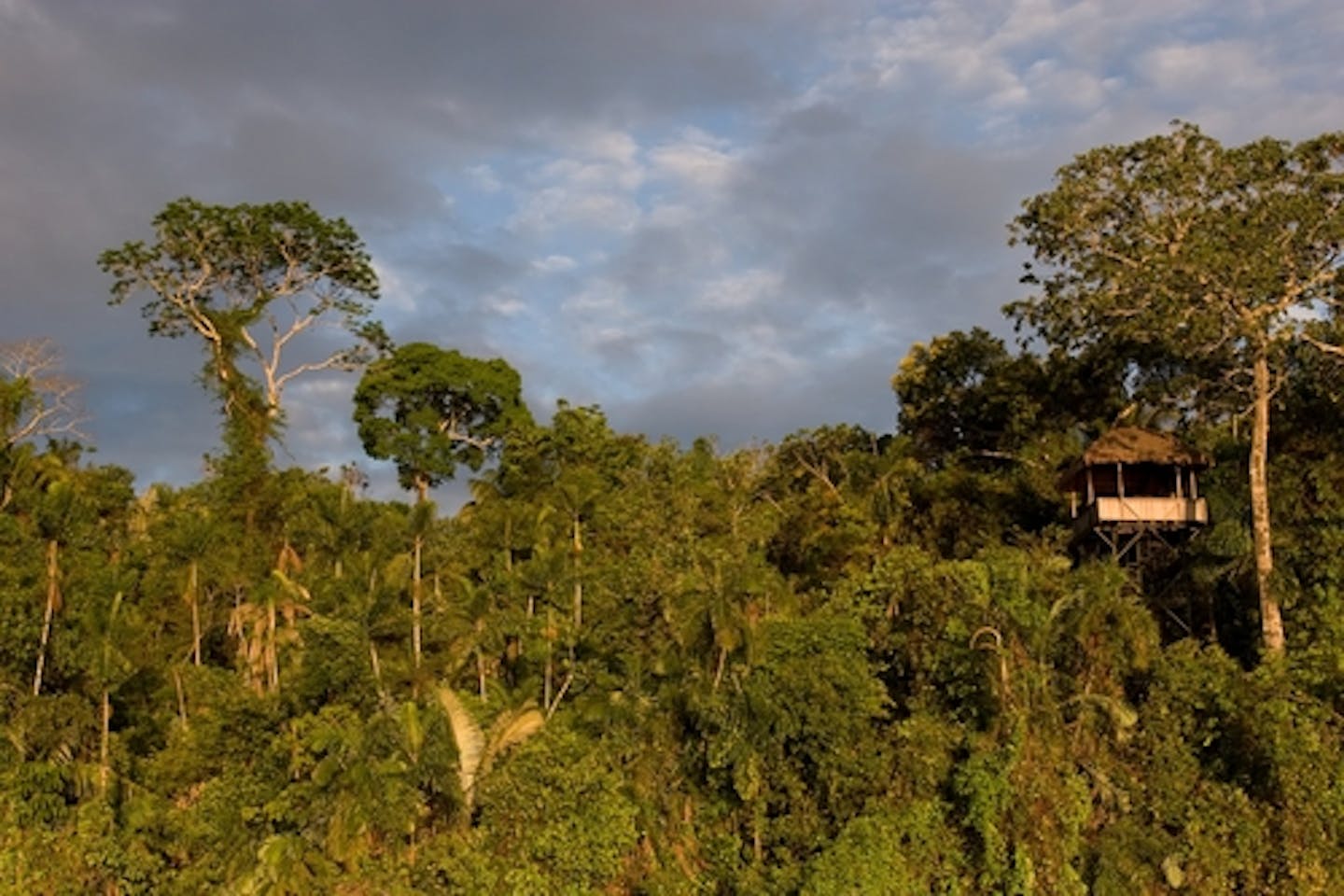 How Can Peru Make Next Year S Climate Summit A Success Opinion Eco Business Asia Pacific