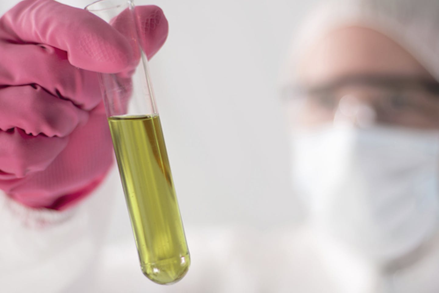 biodiesel blend