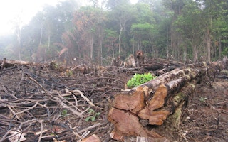 brazil deforest crime