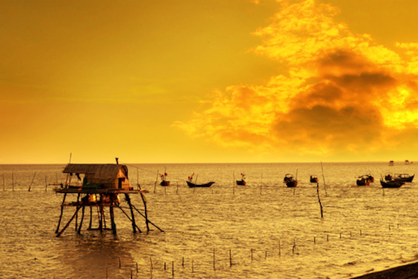 Need sustainable aquaculture