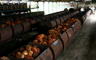 Indonesia palm oil processing