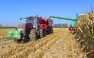 Corn for biofuel