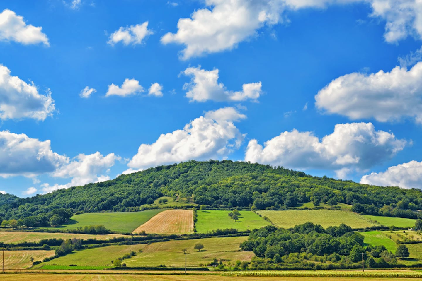 Agriculture-based landscape approach