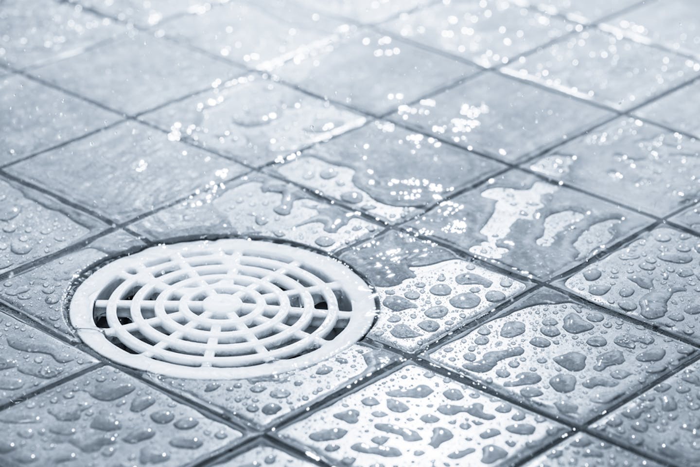 grey water shower drain