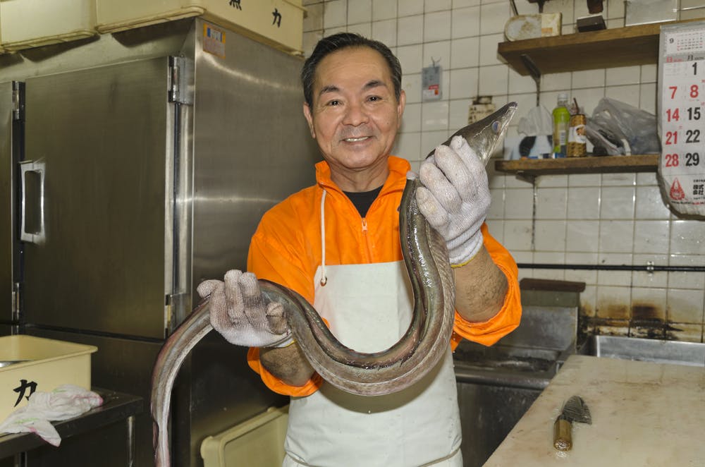 japanese eel cook