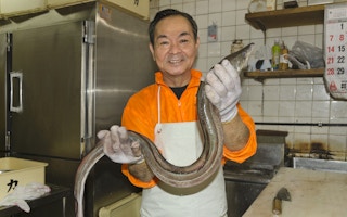 japanese eel cook