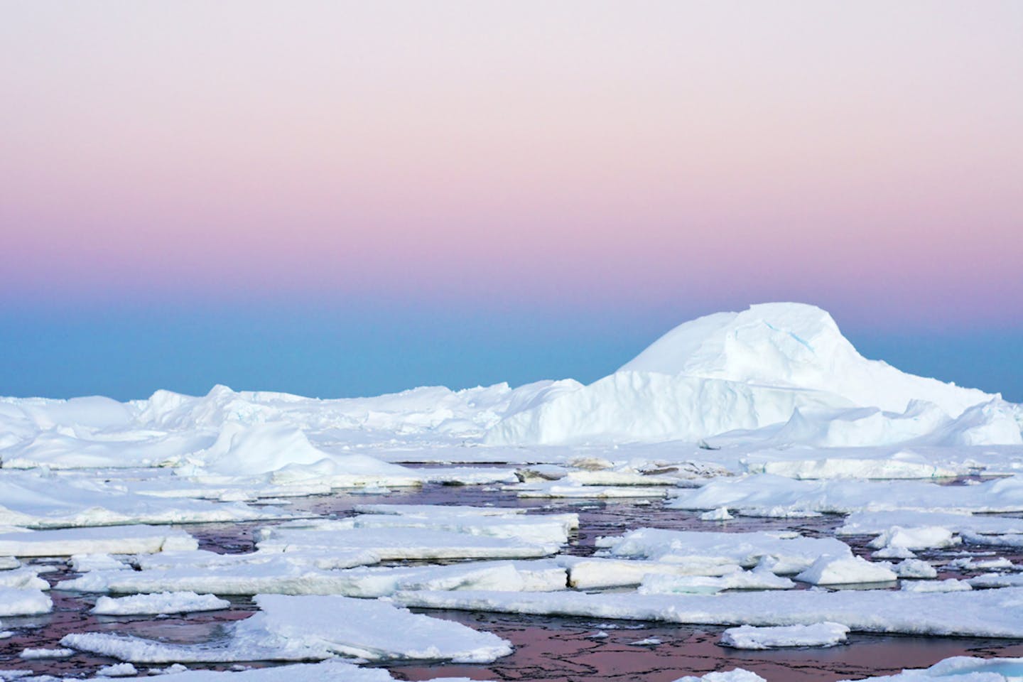 antarctic amundsen