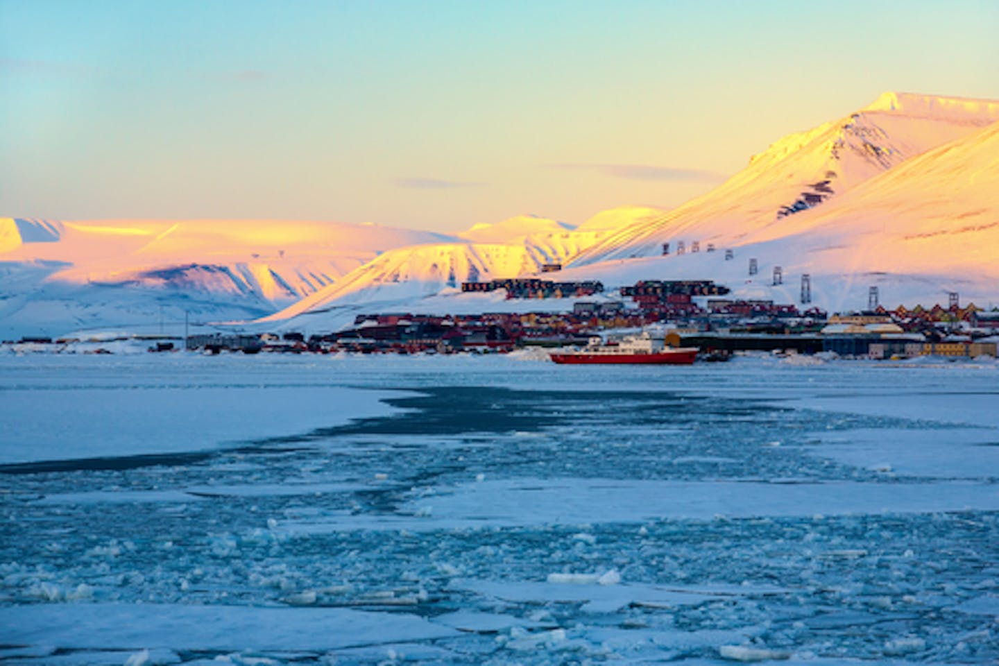 arctic