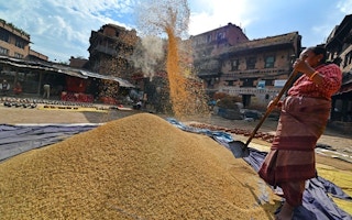 nepal grains 