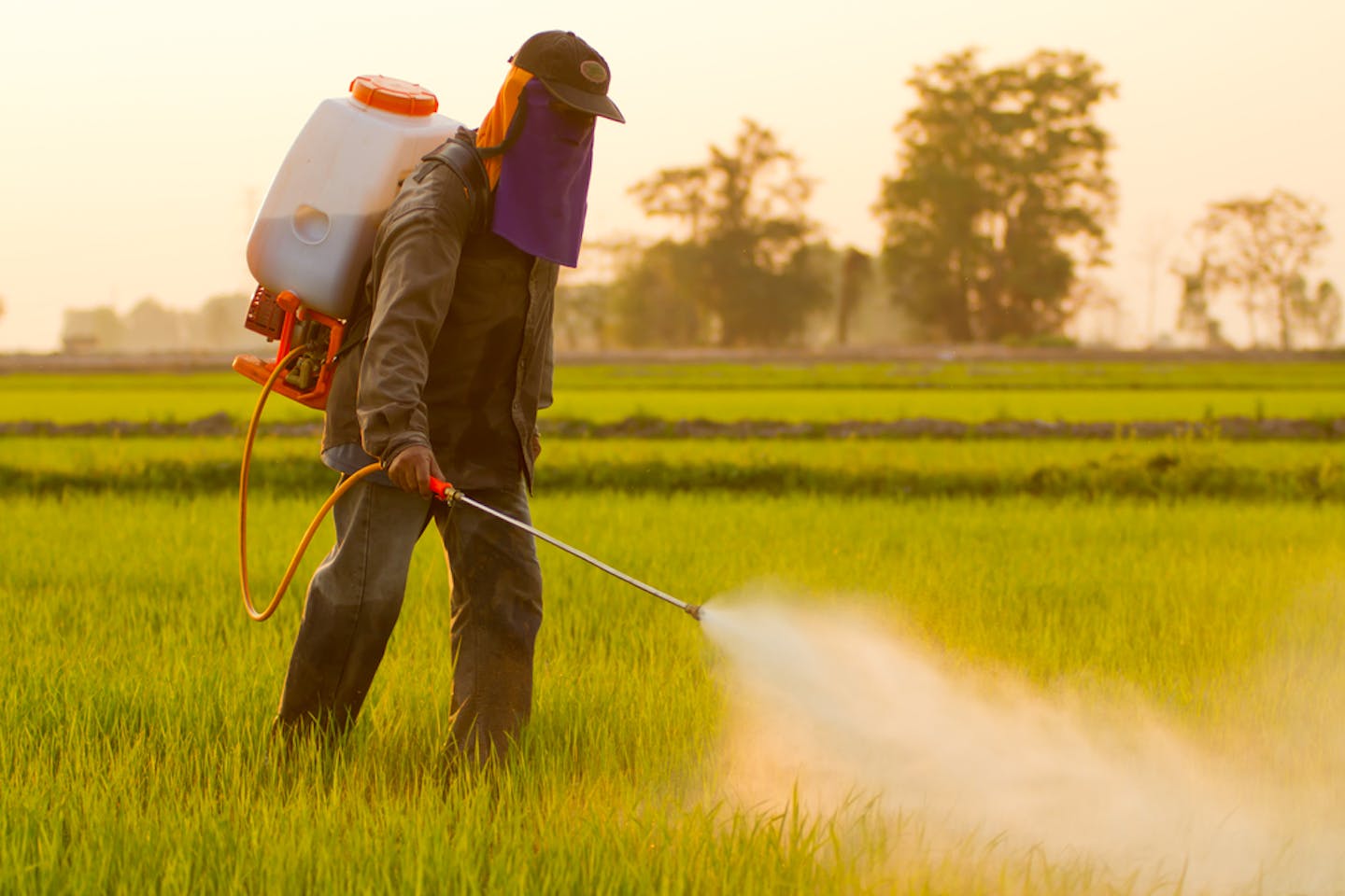 worker spraying herbicide