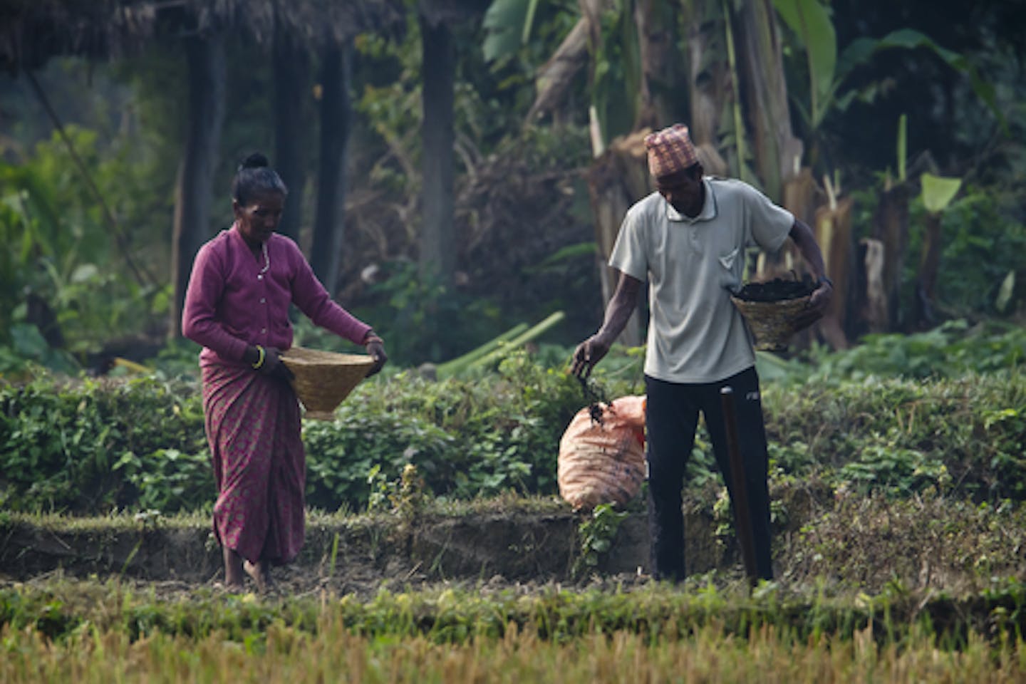 Nepal climate resilience