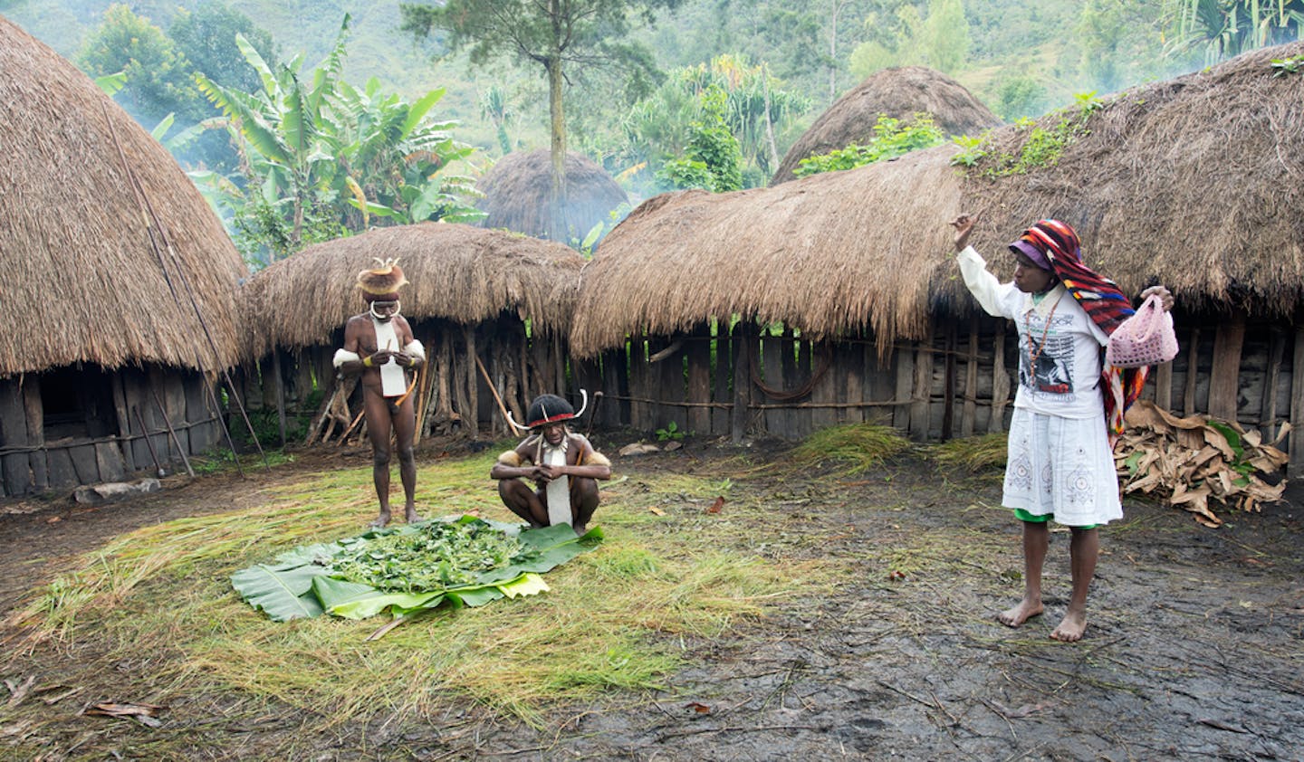 What Role Do Indigenous People And Forests Have In A Sustainable Future