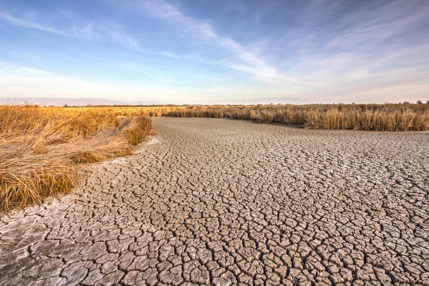 california drought landscape