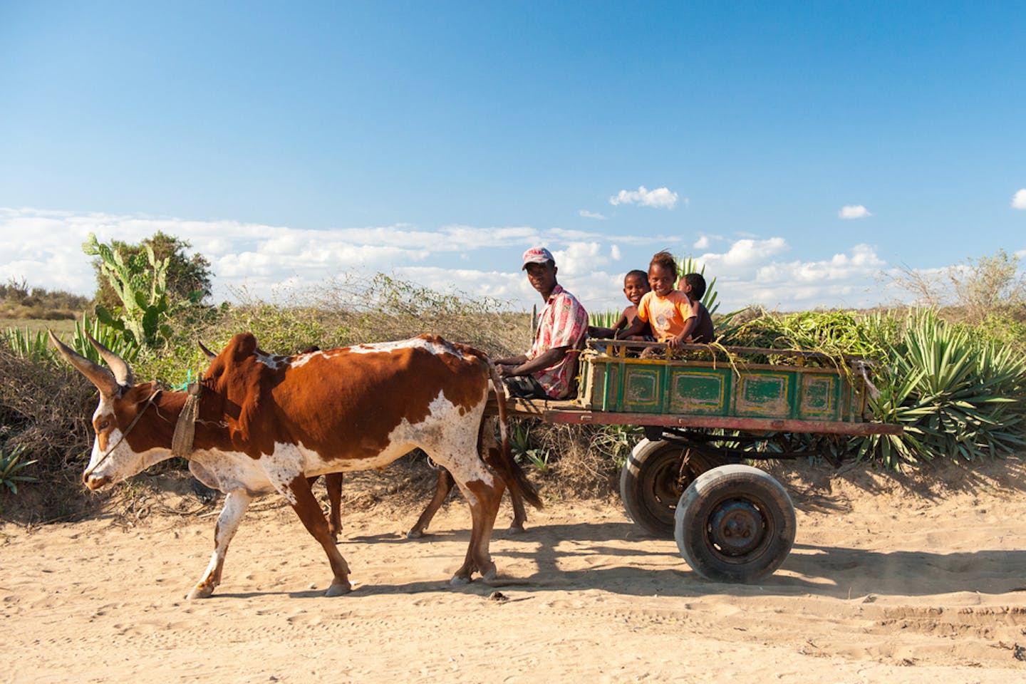 farmers madagascar