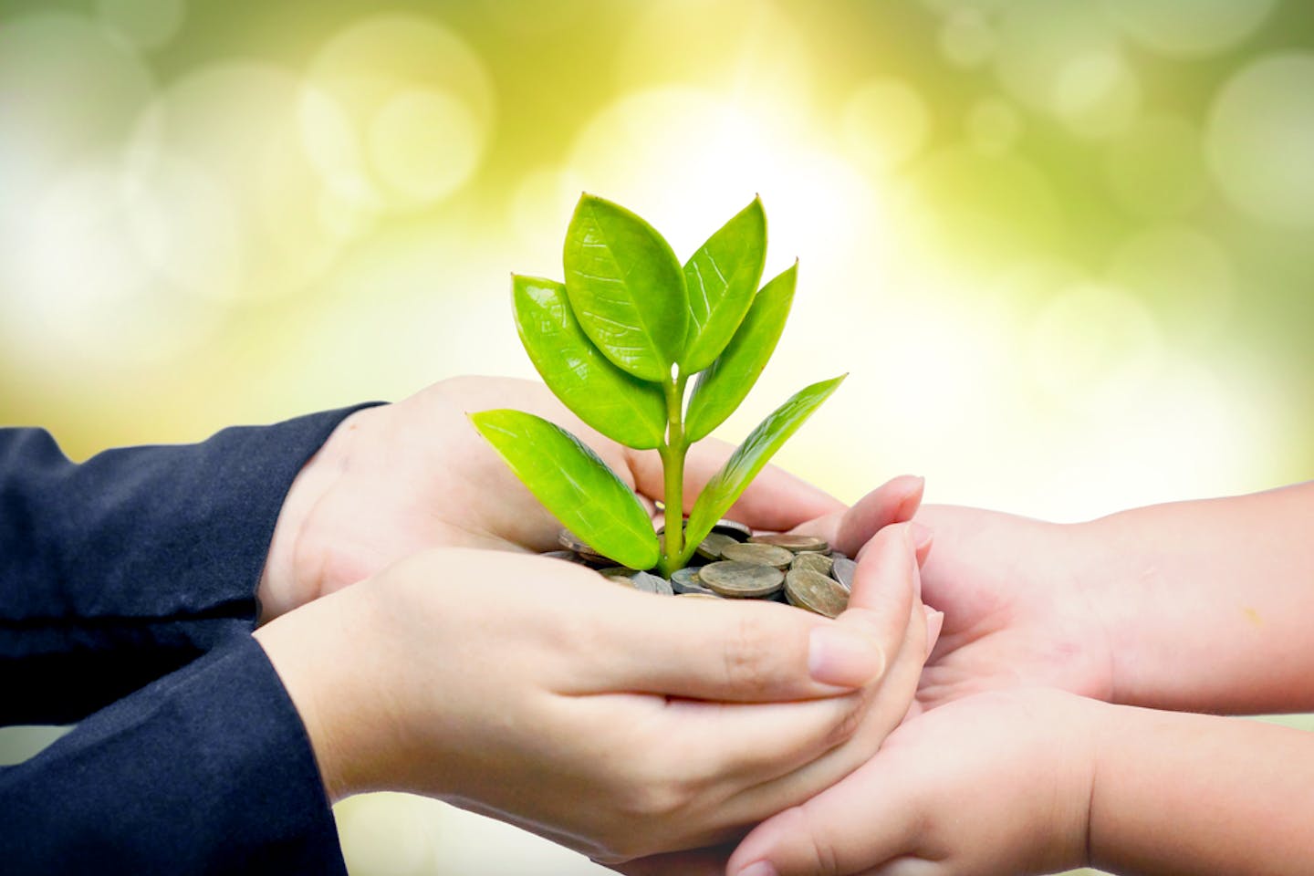 finance sustainable