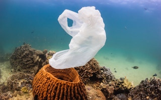 plastic rubish enter oceans