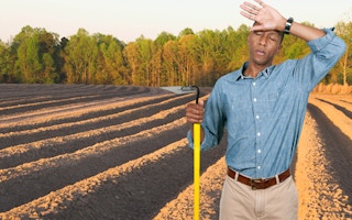 African-American farmer