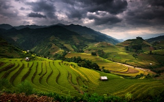 cloudy rice terraces