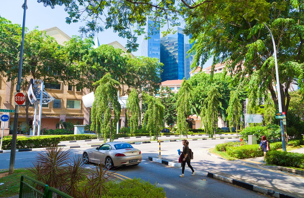singapore tree lined boulevard