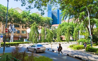 singapore tree lined boulevard