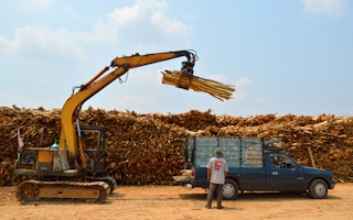 logging deforestation