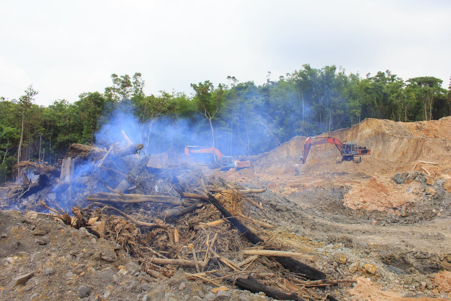 forest burning in kuching