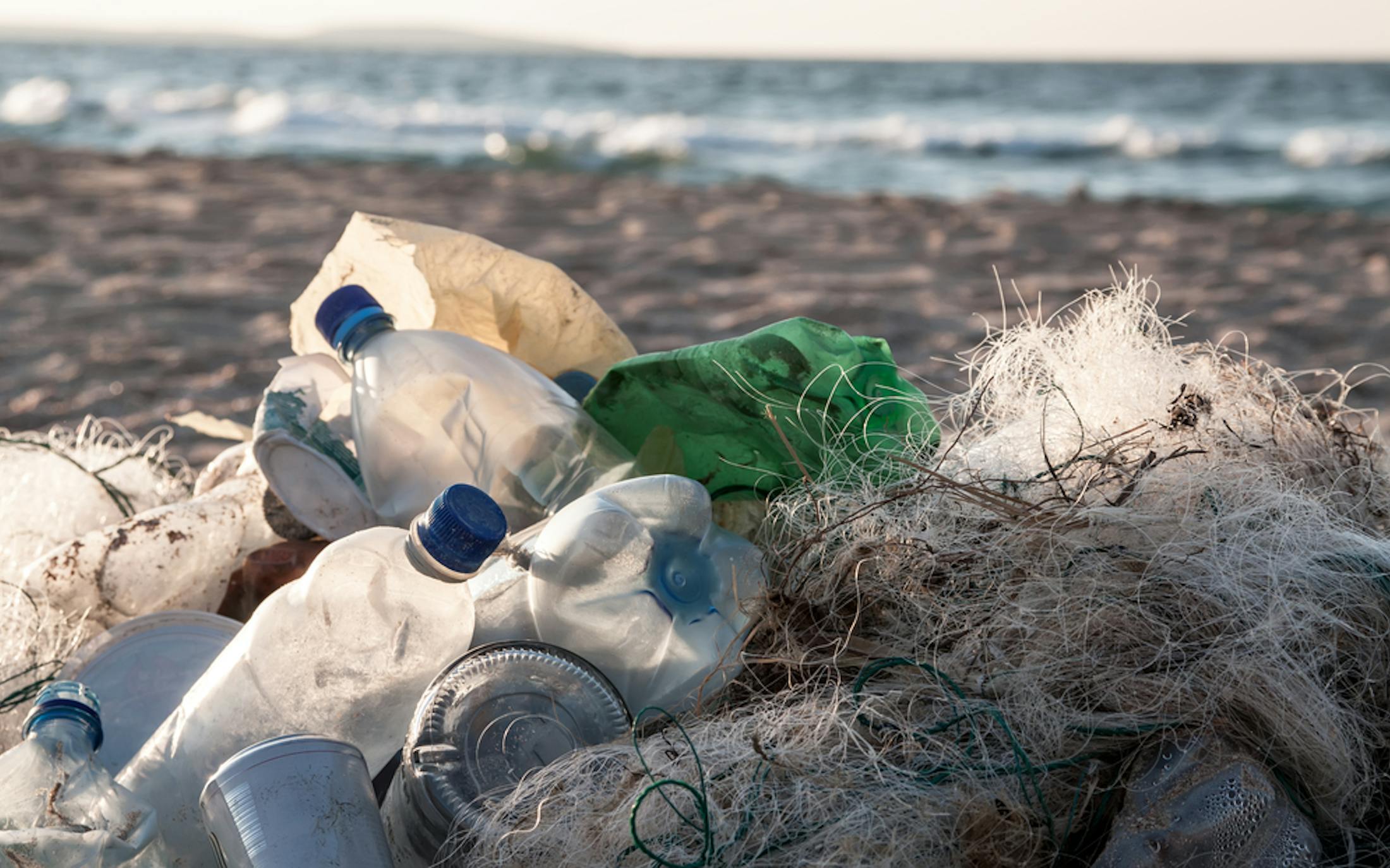 Plastic waste causes US$13 billion damage to marine ecosystems: UNEP