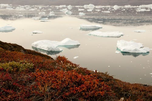thaw permafrost gland