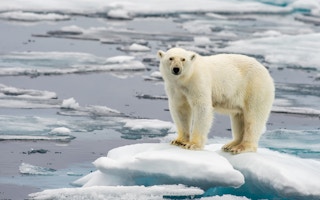 polar arctic melting ice