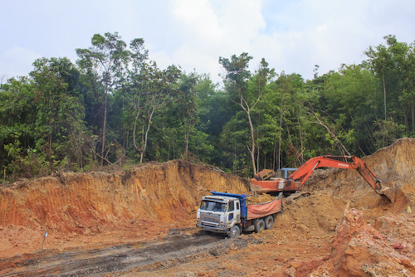 Palm Oil Company Revs Up Deforestation In Malaysia News Eco Business Asia Pacific