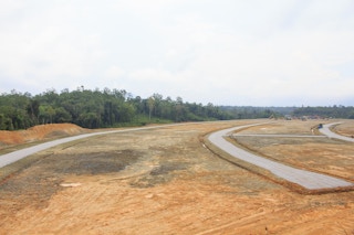 deforested land for palm oil