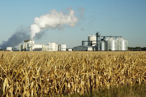 ethanol production