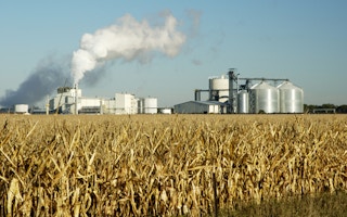 ethanol production