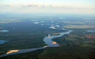 brazil rainforests lead