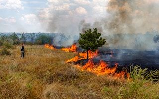odessa ukraine forest fire