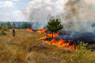 odessa ukraine forest fire