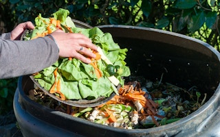food waste compost