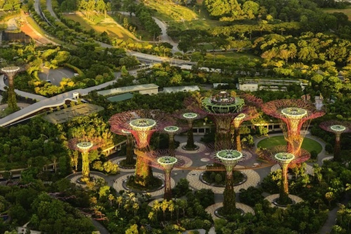 Greener cities are best at taming urban heat | News | Eco-Business | Asia  Pacific