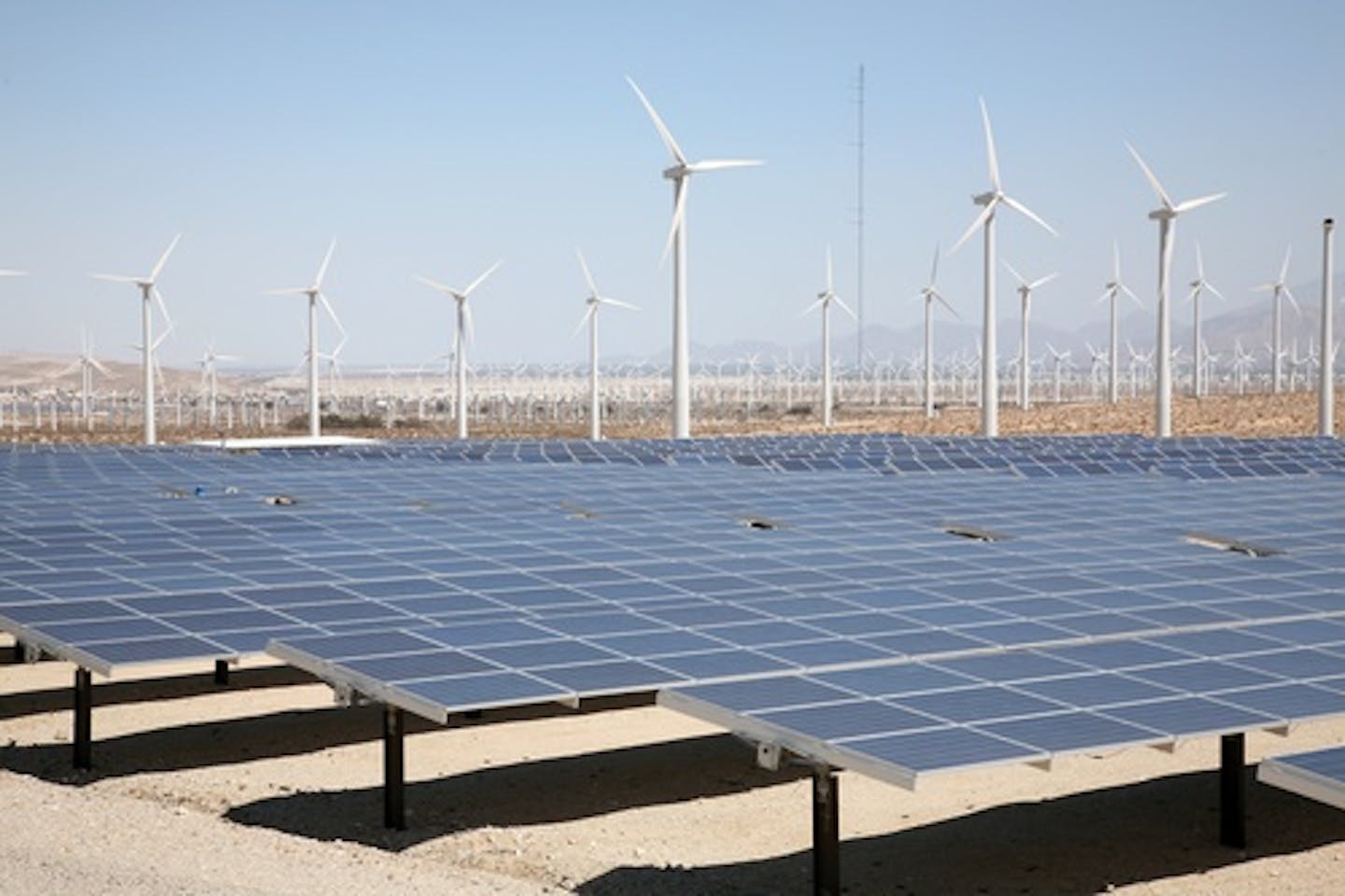 multiple renewable